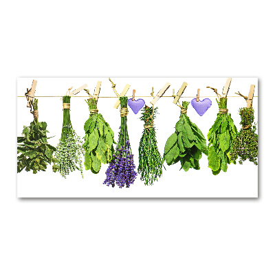 Foto obraz szklany Zioła na sznurku