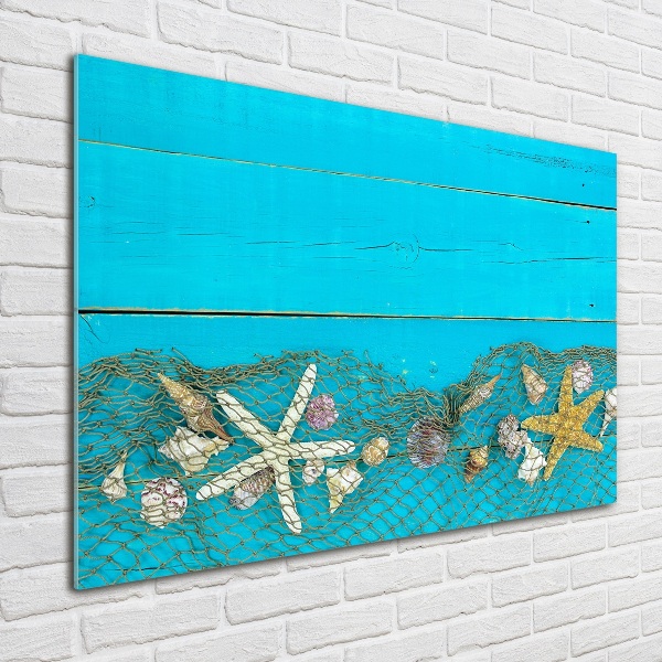 Cuadro de cristal templado moderno horizontal Estrellas de mar y conchas