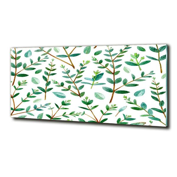 Foto obraz szkło hartowane Eukaliptus