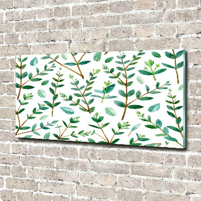 Foto obraz szkło hartowane Eukaliptus