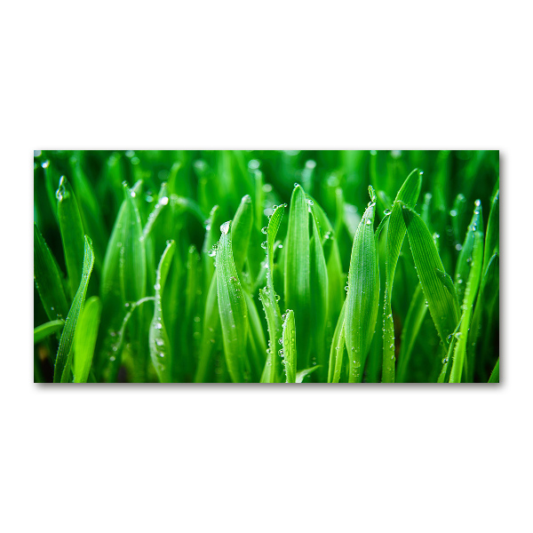 Impresión en cristal con acabado brillante horizontal Césped