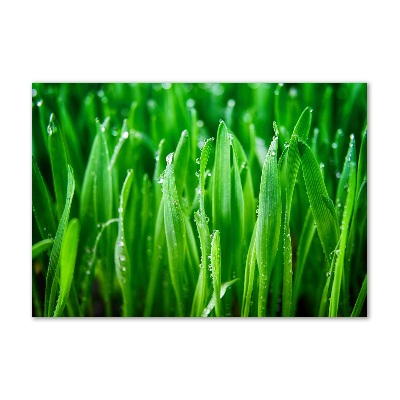 Impresión en cristal con acabado brillante horizontal Césped