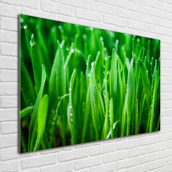 Impresión en cristal con acabado brillante horizontal Césped