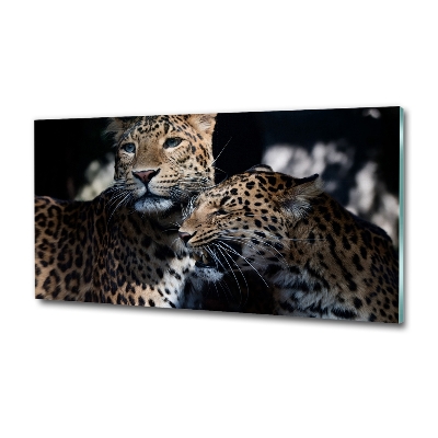 Cuadro de cristal templado moderno horizontal Dos leopardos