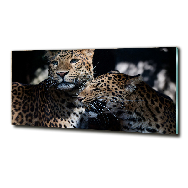 Cuadro de cristal templado moderno horizontal Dos leopardos