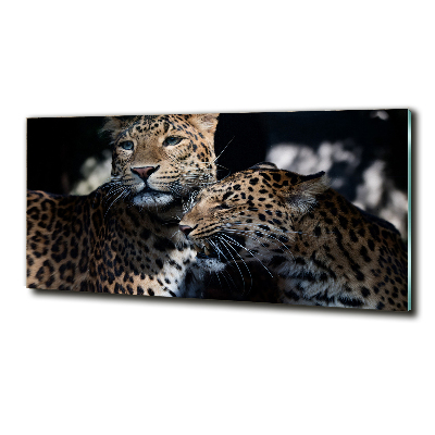 Cuadro de cristal templado moderno horizontal Dos leopardos