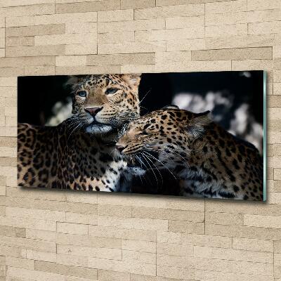 Cuadro de cristal templado moderno horizontal Dos leopardos