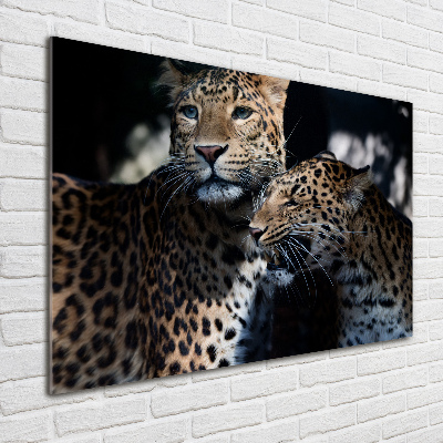 Cuadro de cristal templado moderno horizontal Dos leopardos