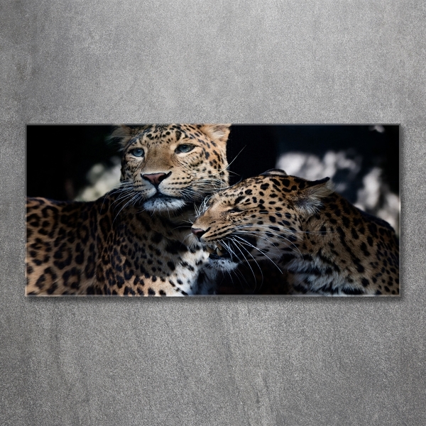 Cuadro de cristal templado moderno horizontal Dos leopardos
