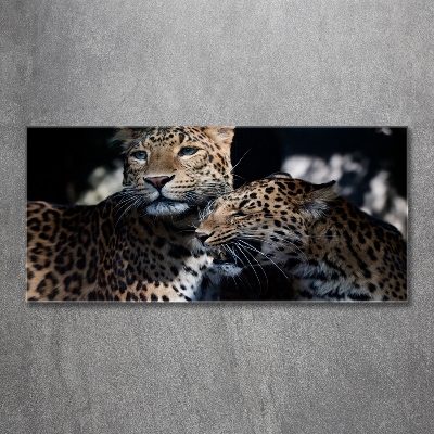 Cuadro de cristal templado moderno horizontal Dos leopardos