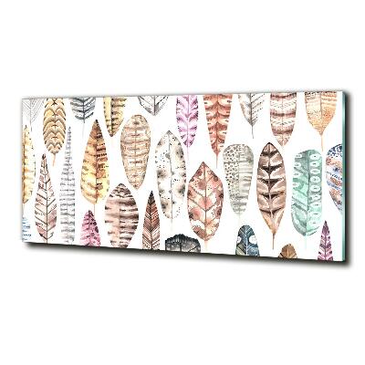 Foto en cristal de alta calidad con impresión uv horizontal Plumas de colores