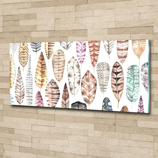 Foto en cristal de alta calidad con impresión uv horizontal Plumas de colores