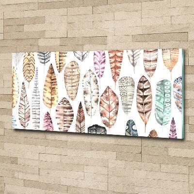 Foto en cristal de alta calidad con impresión uv horizontal Plumas de colores