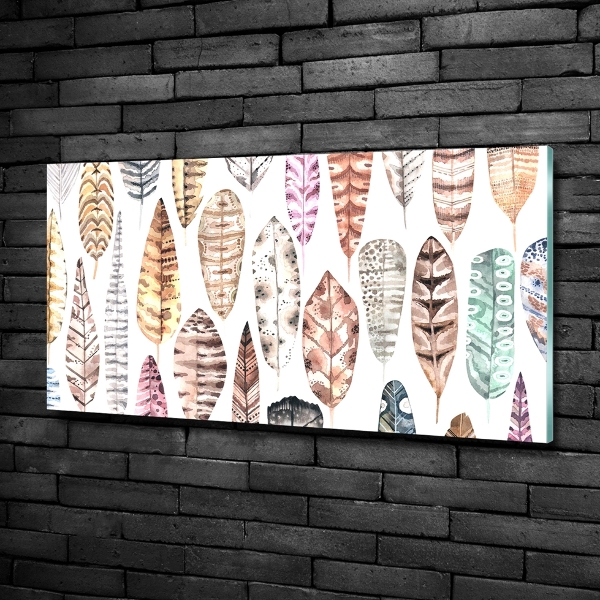 Foto-obraz szkło hartowane Kolorowe pióra