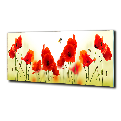 Foto en cristal de alta calidad con impresión uv horizontal Amapolas