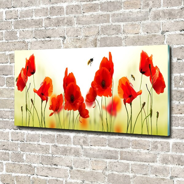 Foto en cristal de alta calidad con impresión uv horizontal Amapolas