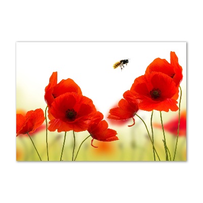 Foto en cristal de alta calidad con impresión uv horizontal Amapolas