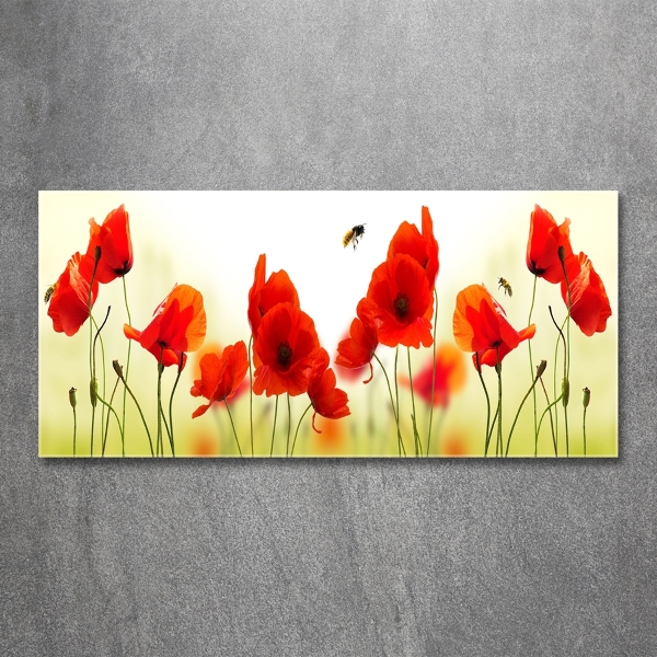 Foto en cristal de alta calidad con impresión uv horizontal Amapolas