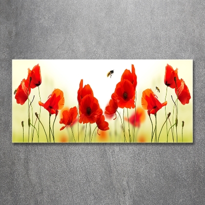 Foto en cristal de alta calidad con impresión uv horizontal Amapolas