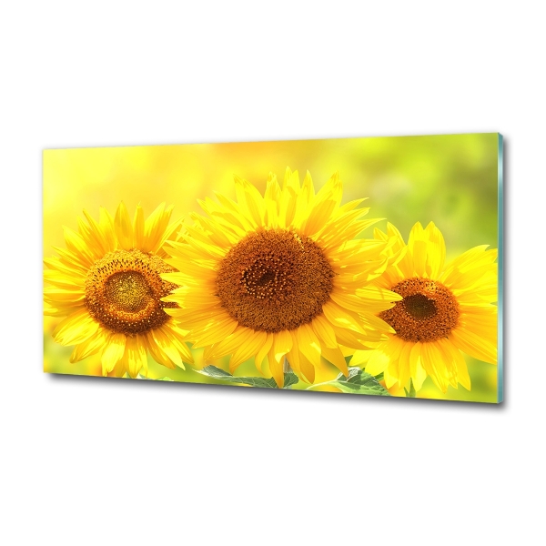 Cuadro de cristal templado moderno horizontal Girasoles