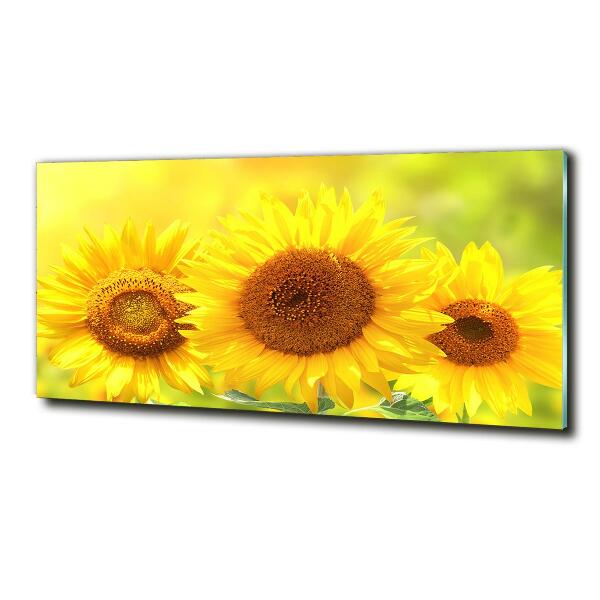 Cuadro de cristal templado moderno horizontal Girasoles