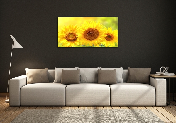 Cuadro de cristal templado moderno horizontal Girasoles