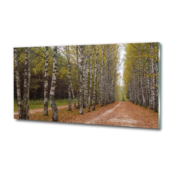 Cuadro decorativo de vidrio para salón horizontal Avenida Birch