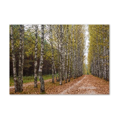 Cuadro decorativo de vidrio para salón horizontal Avenida Birch