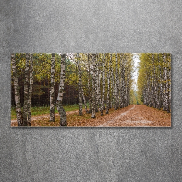 Cuadro decorativo de vidrio para salón horizontal Avenida Birch