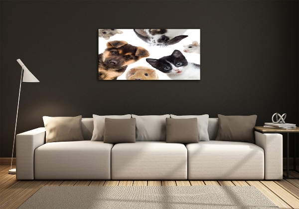 Cuadro decorativo de vidrio para salón horizontal Mascotas