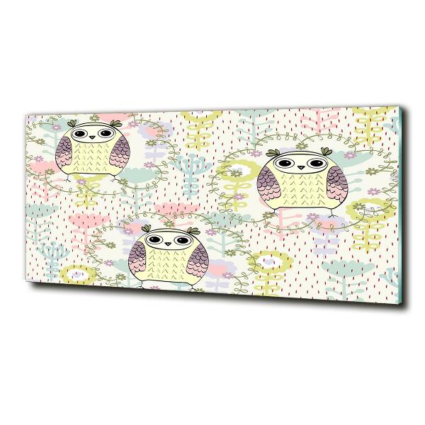 Cuadro de cristal templado moderno horizontal Búhos