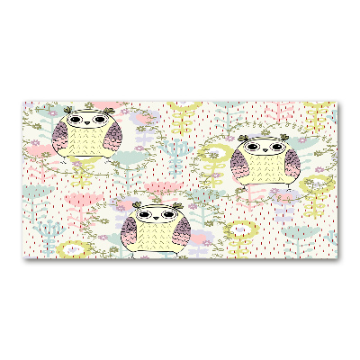 Cuadro de cristal templado moderno horizontal Búhos