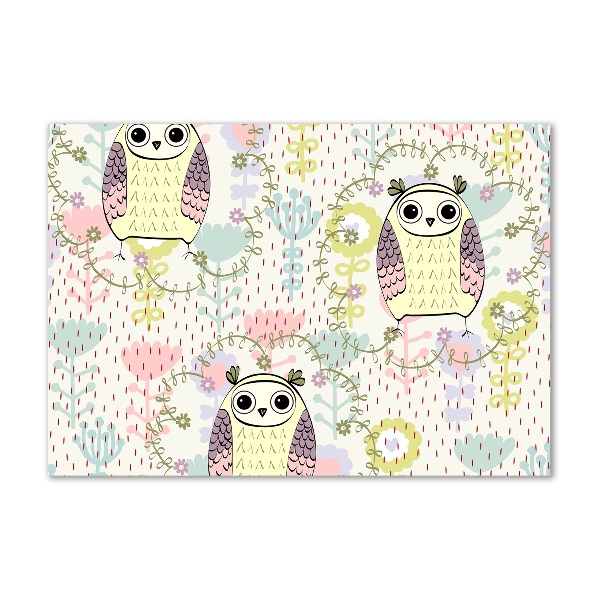 Cuadro de cristal templado moderno horizontal Búhos