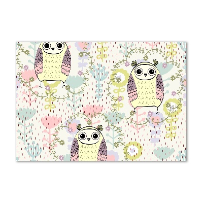 Cuadro de cristal templado moderno horizontal Búhos