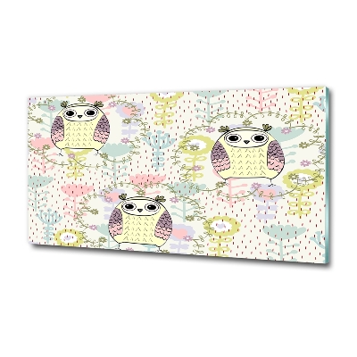 Cuadro de cristal templado moderno horizontal Búhos
