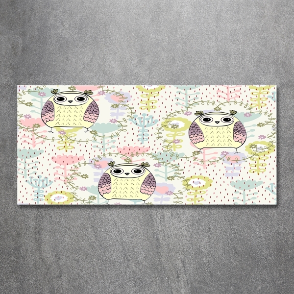 Cuadro de cristal templado moderno horizontal Búhos