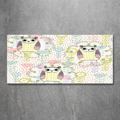 Cuadro de cristal templado moderno horizontal Búhos