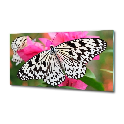 Cuadro decorativo de vidrio para salón horizontal Mariposa en una flor