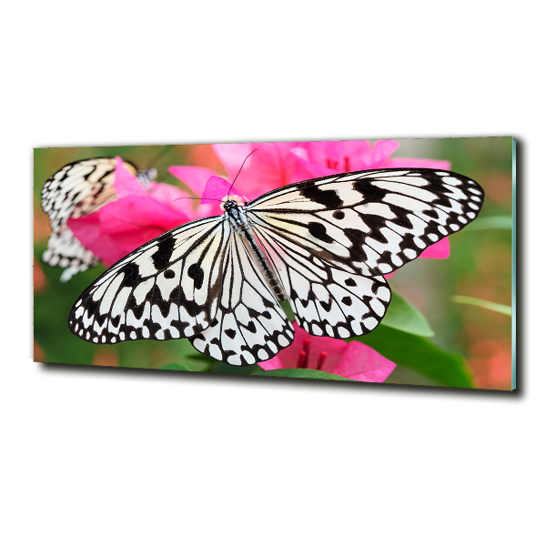 Cuadro decorativo de vidrio para salón horizontal Mariposa en una flor