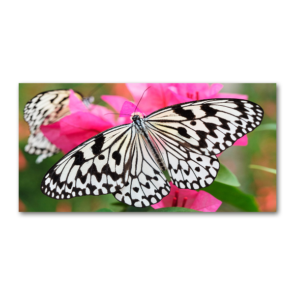 Cuadro decorativo de vidrio para salón horizontal Mariposa en una flor