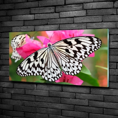 Cuadro decorativo de vidrio para salón horizontal Mariposa en una flor