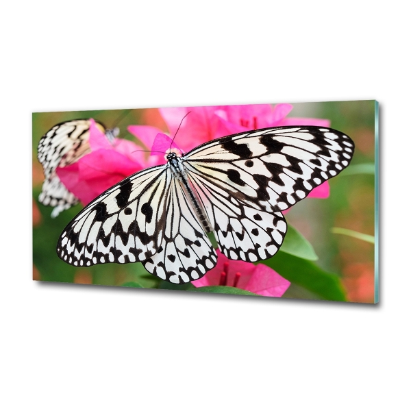 Cuadro decorativo de vidrio para salón horizontal Mariposa en una flor
