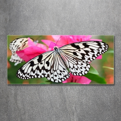 Cuadro decorativo de vidrio para salón horizontal Mariposa en una flor