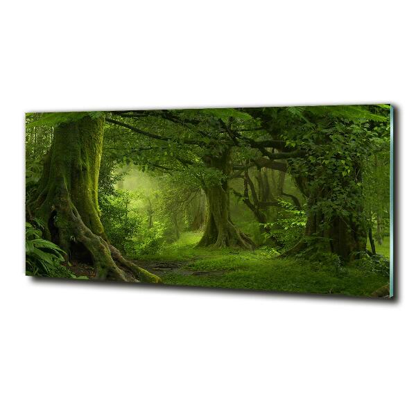Cuadro decorativo de vidrio para salón horizontal Selva tropical