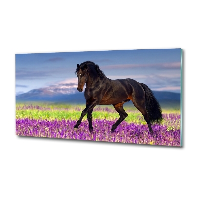 Cuadro decorativo de vidrio para salón horizontal Un caballo en un campo de lavanda.