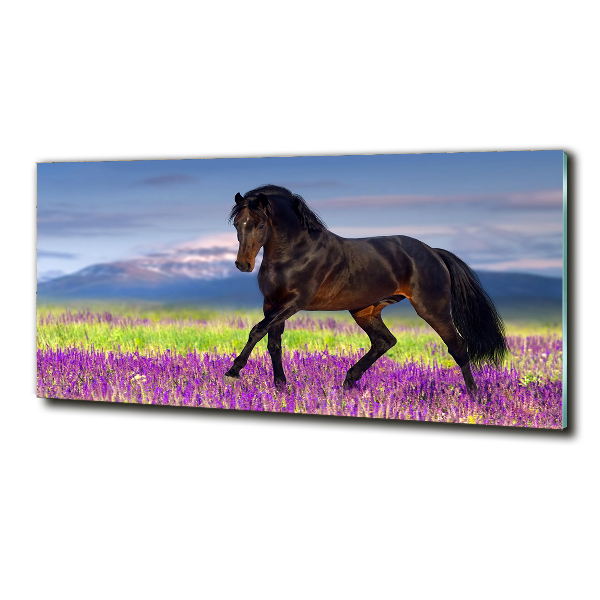 Cuadro decorativo de vidrio para salón horizontal Un caballo en un campo de lavanda.