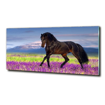 Cuadro decorativo de vidrio para salón horizontal Un caballo en un campo de lavanda.