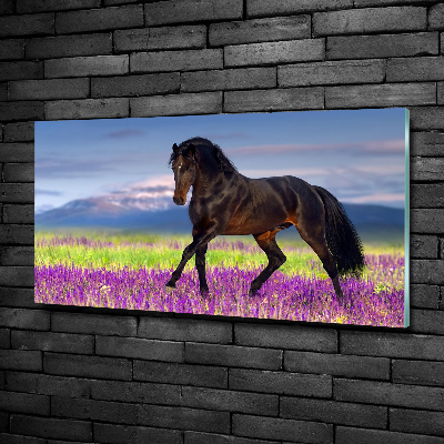 Cuadro decorativo de vidrio para salón horizontal Un caballo en un campo de lavanda.