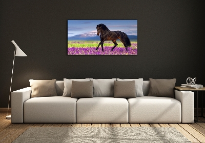 Cuadro decorativo de vidrio para salón horizontal Un caballo en un campo de lavanda.