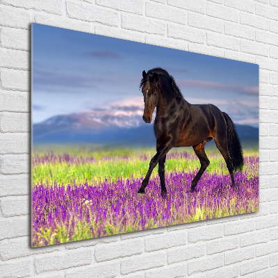 Cuadro decorativo de vidrio para salón horizontal Un caballo en un campo de lavanda.
